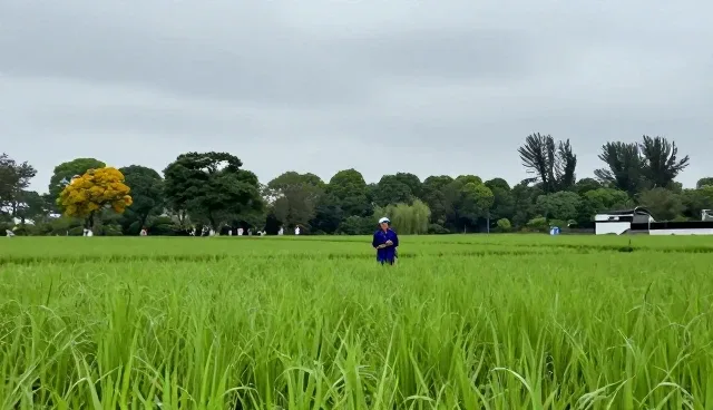 电商运营维护方法的检查要点及业务发展趋势